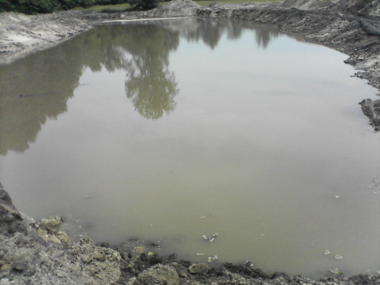 Attached picture birth of pond 2.jpg